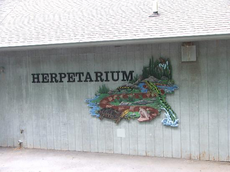 Bays Mountain's Herpetarium