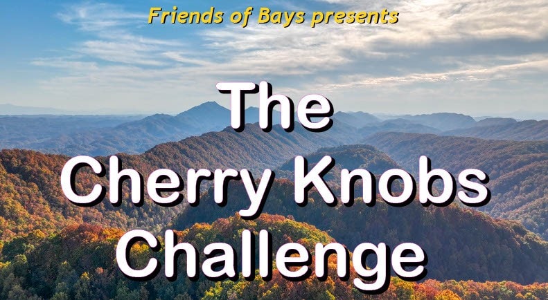 1773162591872-d4d4546d-cd65-4e7c-9fe0-35f9bd52e2f6_1-E5RmhF