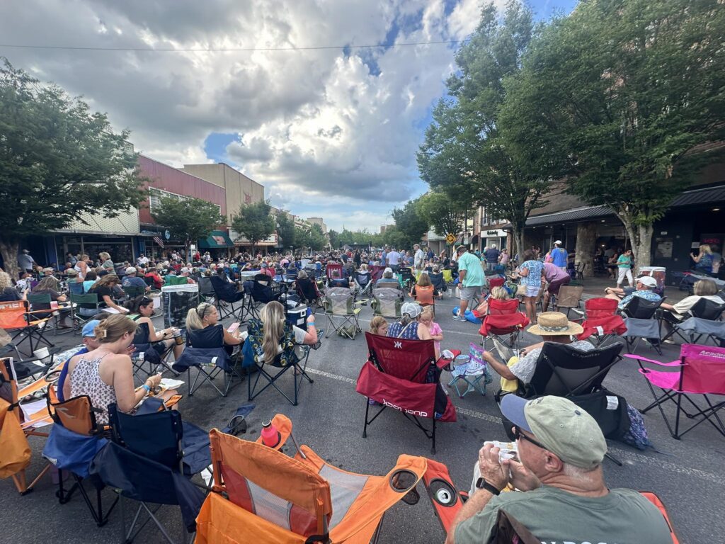 crowd of people listening to concert