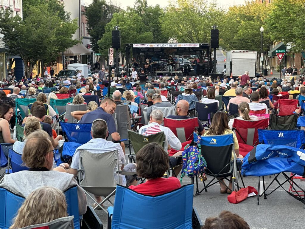 crowd of people listening to concert