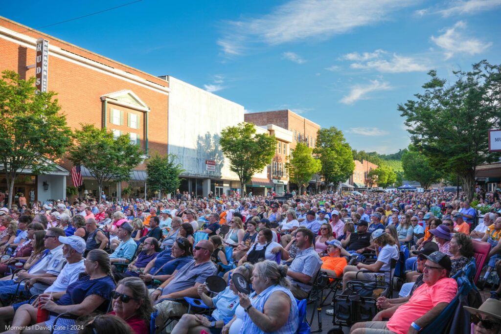crowd of people listening to concert