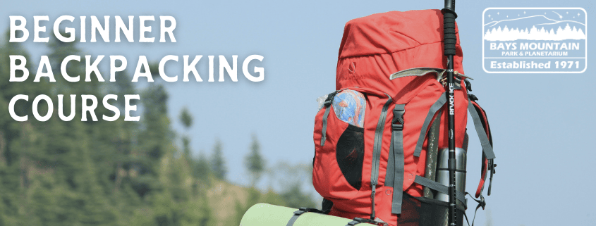 BMP-Program-Headers-845-x-321-px-20-K3NFjF