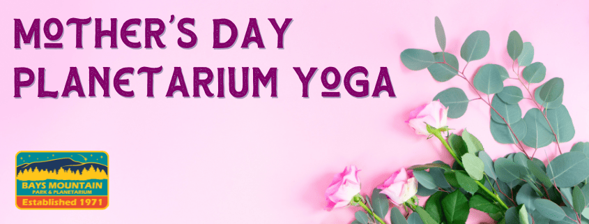 BMP-Program-Headers-845-x-321-px-8-bbn6jy