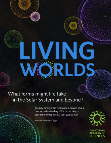 Living-Worlds-HeXBsn