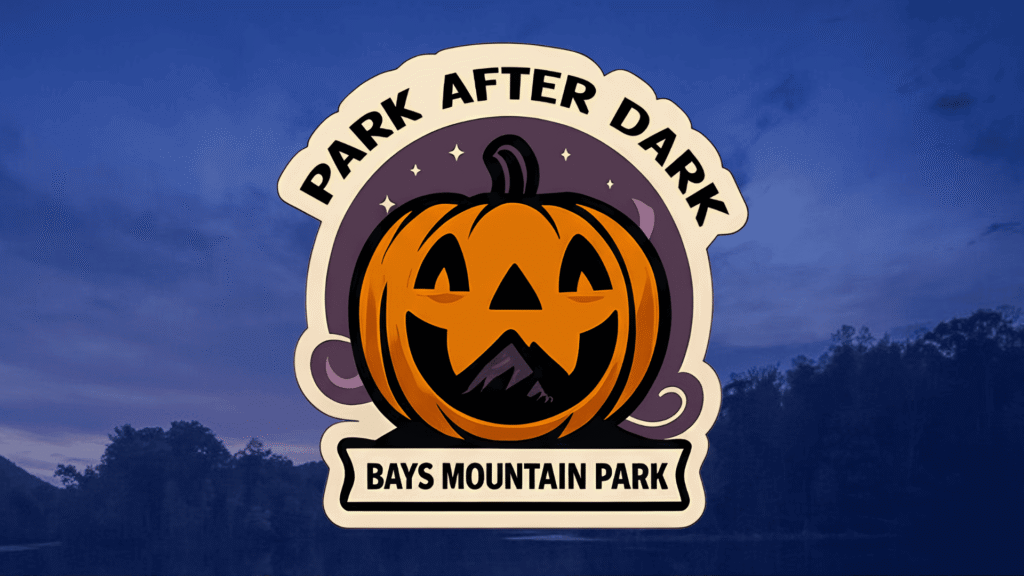 Park After Dark Graphic